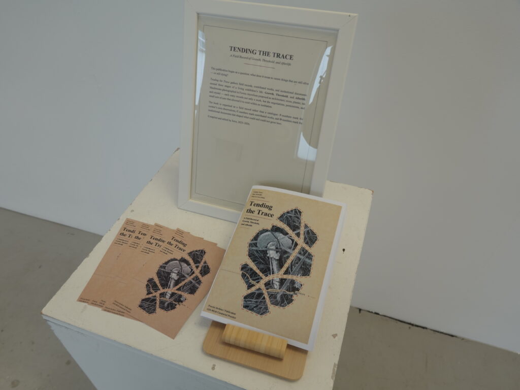 Display detail from Tending the Trace showing the publication and printed project text arranged on a white plinth.
