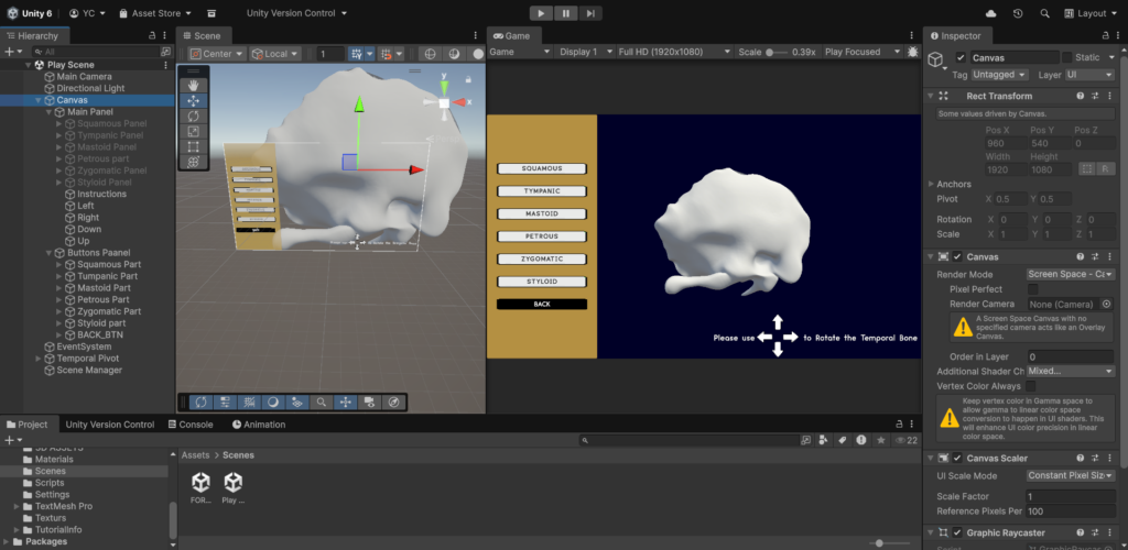 The Temporal bone viewer scene