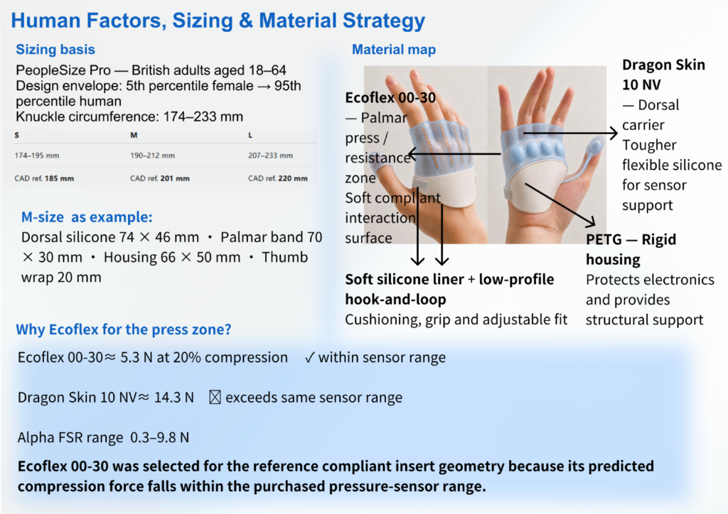Anthropometric data informed the S/M/L sizing strategy, while material selection was matched to each functional region and supported by analytical screening of the compliant press zone.