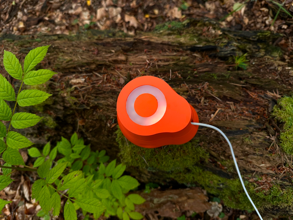 Orange Respiration Check device placed on the surface of deadwood, with a circular light indicator visible on top.