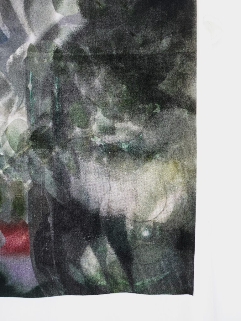 Detail view of Anatomy of an Echo, 2026, showing layered reactive dye imagery and soft, blurred colour transitions on velvet.
