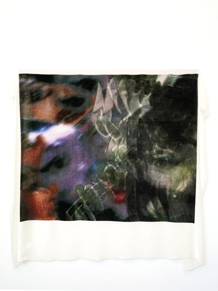 Anatomy of an Echo, 2026. A reactive dye print on velvet featuring layered, blurred imagery in dark green, black, purple and warm tones.