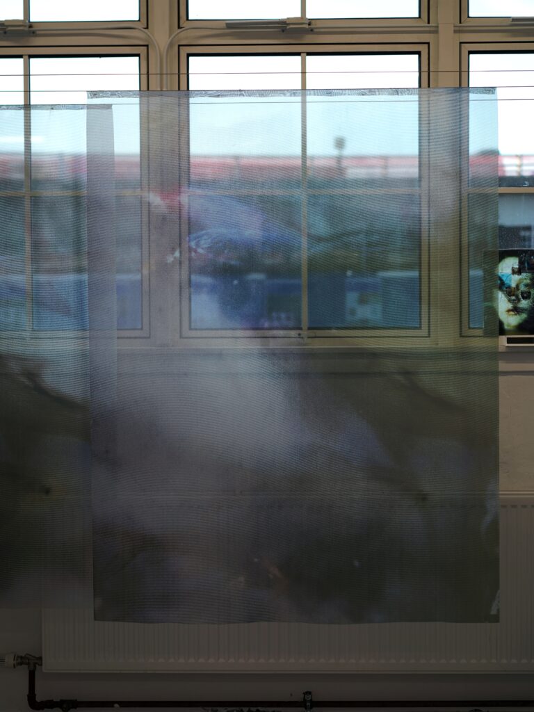 Detail view of Soft Interference, 2026, showing the layered translucent imagery and blue-toned textures printed on organza.