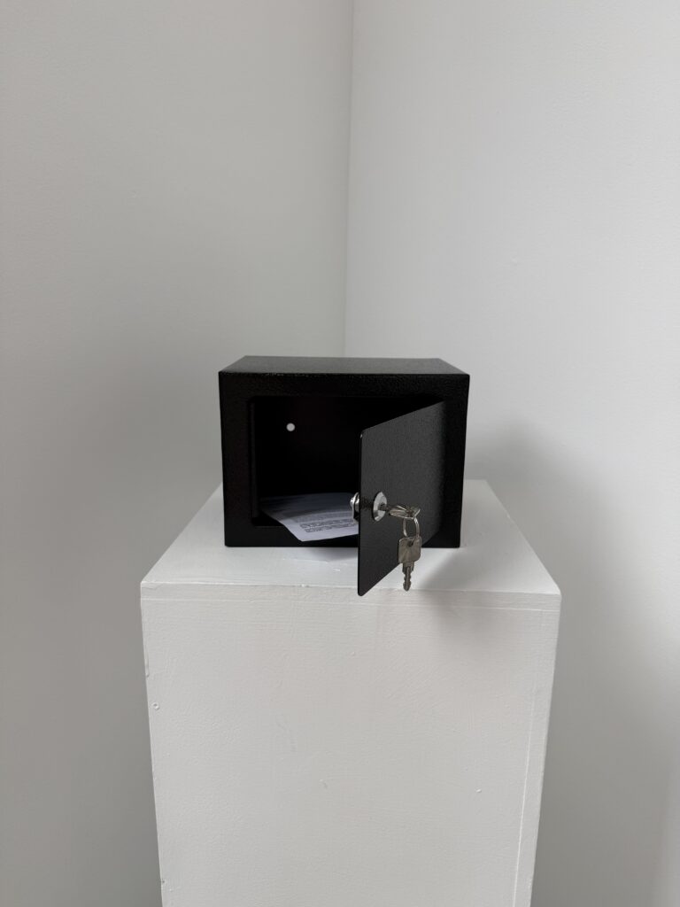 An open black safe containing the actual exhibition labels for the LMy Artist Agency project.