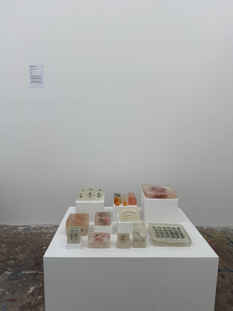 Installation view of resin blocks containing medical and personal materials displayed on white plinths.