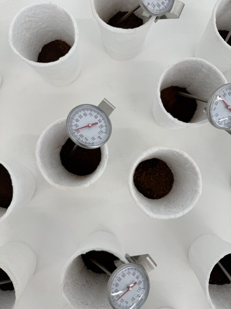 Overhead detail of white plaster-wrapped coffee cups containing coffee, with analogue temperature gauges inserted into several cups.