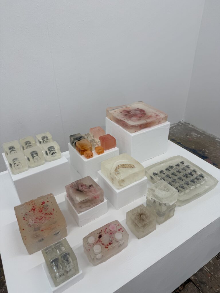 Installation of translucent resin blocks containing medical and personal materials arranged on white plinths.