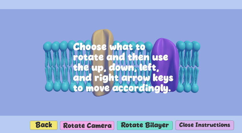 There is a translucent instruction panel in front of a model of a phospholipid bilayer with two membrane proteins. There are four buttons along the bottom of the image.
