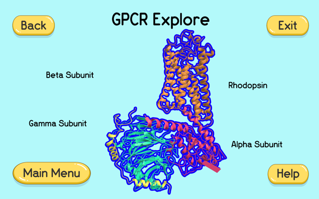 There is a ribbon model of a rhodopsin GPCR in the center along with labels on the side indicating what each subunit of the model is. There are buttons on each corner of the screen.