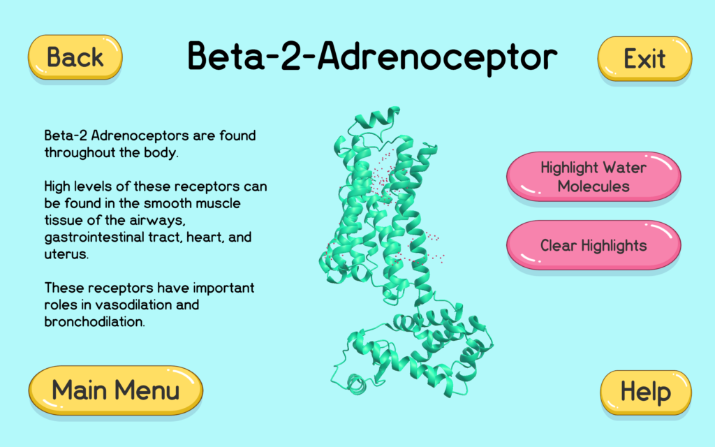 There is a chunk of text on one side of the screen and two buttons on the other side. In the center, there is a ribbon model of the beta-2 adrenoceptor. There are buttons on each of the four corners.