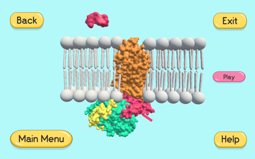 There is a model of a rhodopsin GPCR embedded in a cell membrane. There is a play animation button on one side of the screen.