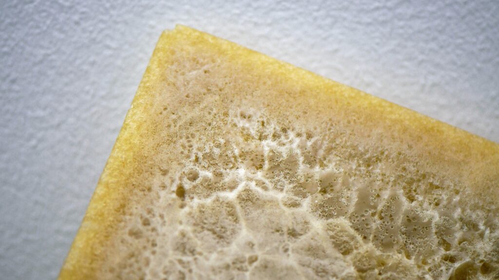 the corner of a spongey yellow rectangular book cast cuts across the image